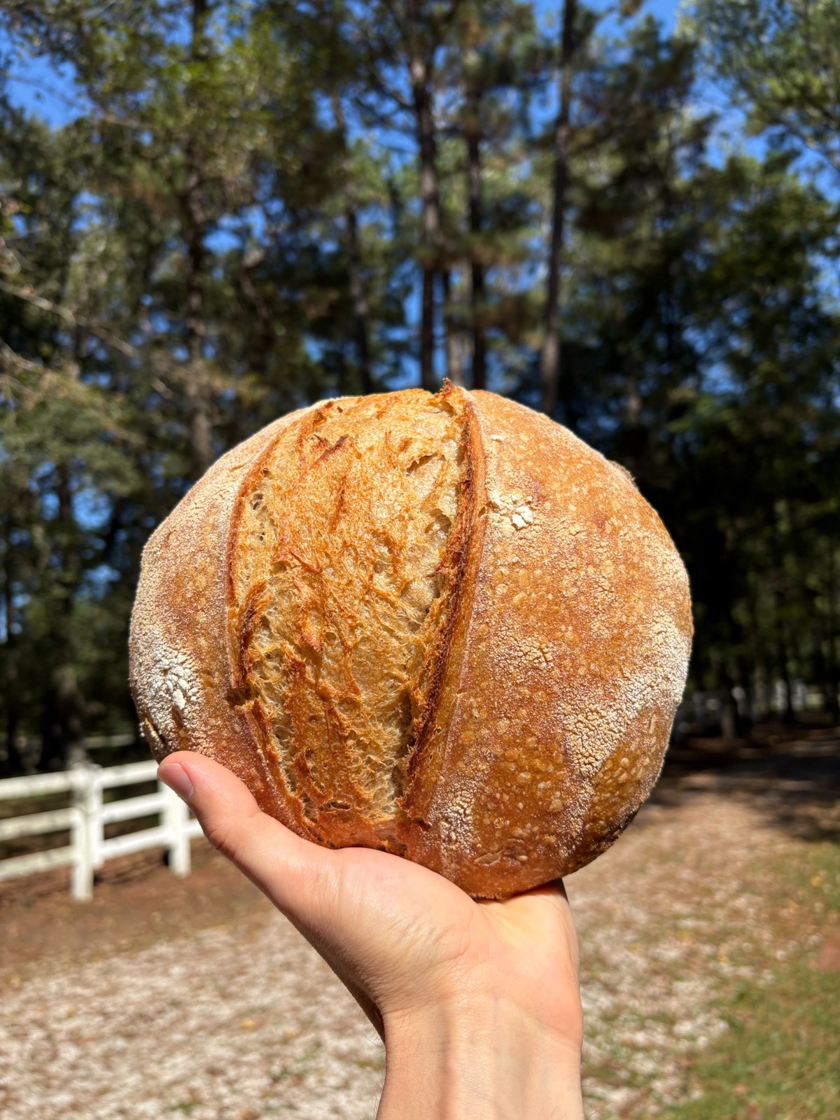 Nick's white bread loaf held outdoors